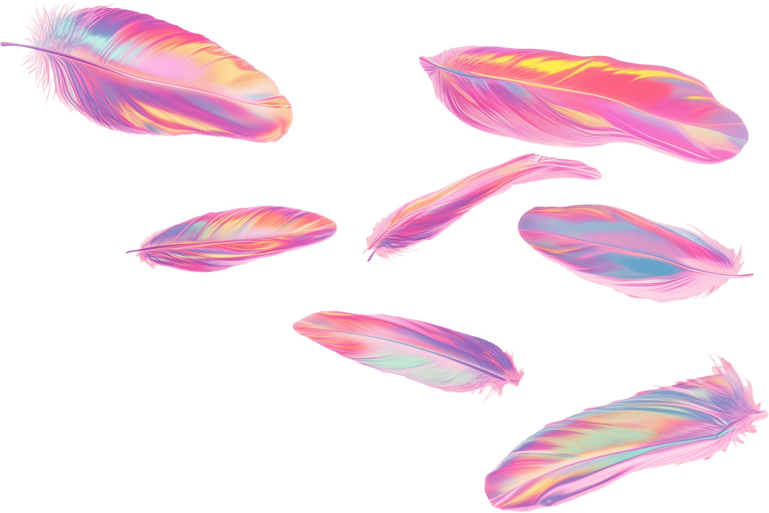 Feathers