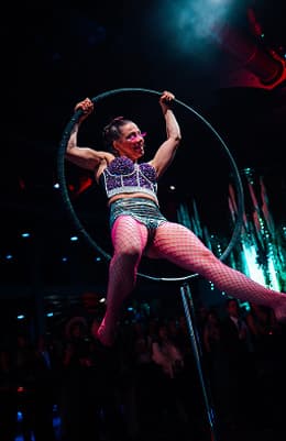 image of past gala